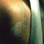 matrix_rabbittatoo_02