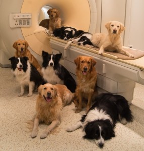 ac8118c8e893b687a64cb23254dced99